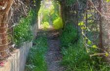 Villa Ortensia - Foto 27