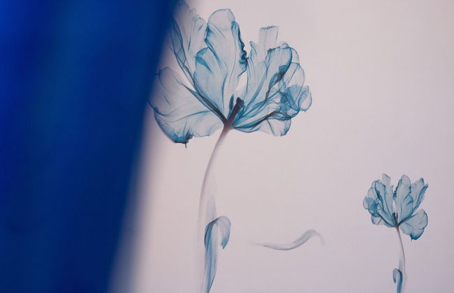 Casa Vacanze da Vicenta - Foto 56