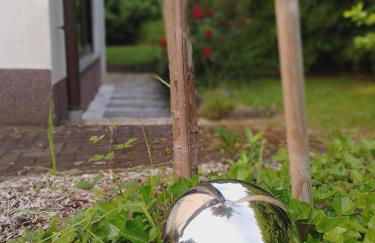 Wald und Wiese - Foto 26