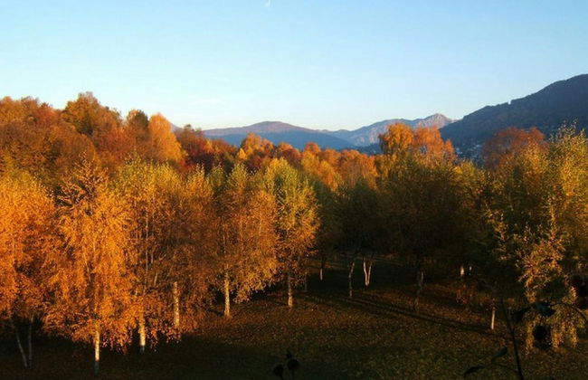 Villa Il Castagno - Foto 27