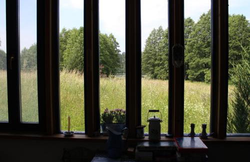 Pod tulipanem nad jeziorem - Foto 47