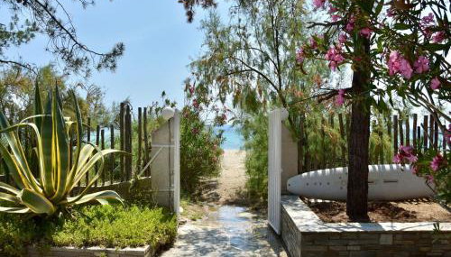 Spacious Maisonette on the "eu Blue Beach" of Kalogria in Sithonia in Greece - Foto 2, Garden