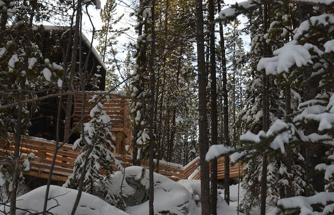 Yukon Black Spruce - Foto 11