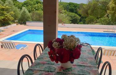 Sondela Self Catering - Foto 78