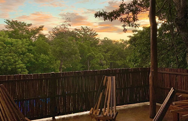 Jungle Penthouse - Photo 29