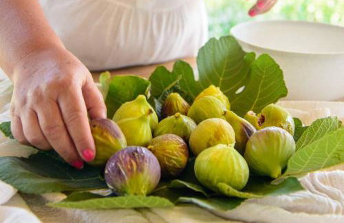 Jasmine house - Foto 42