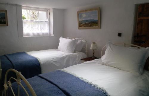 Dromore House Historic Country house - Foto 28