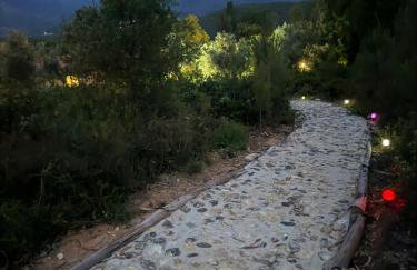 Quinta-lina de serpins - Foto 6