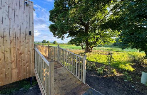 Unbox at Poplar Tree - Photo 66