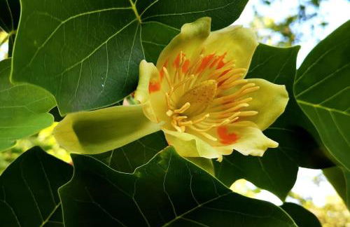 La maison de Carmen - Foto 47