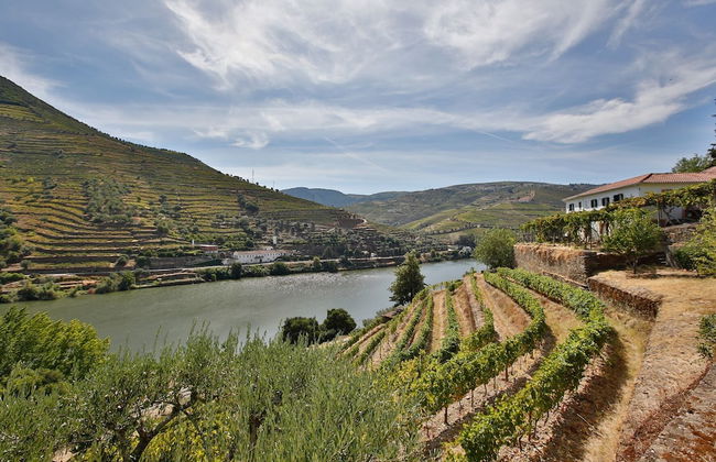 Quinta de la Rosa - Foto 50