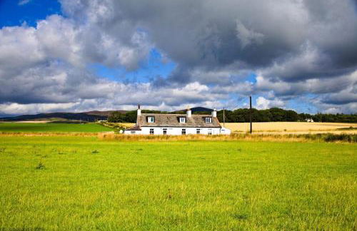 Beachcombers - Foto 50