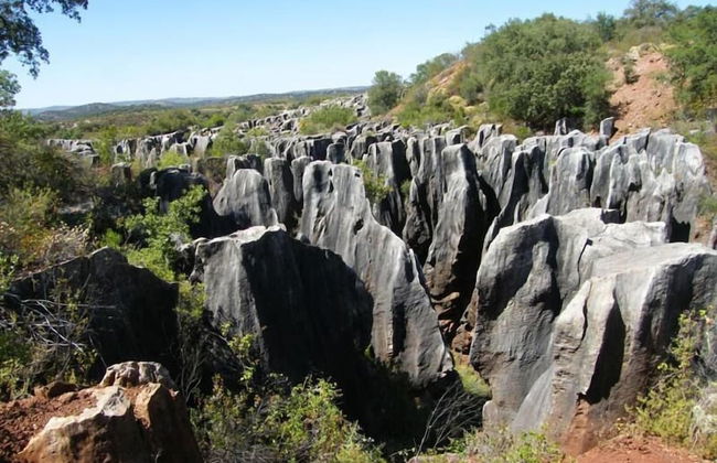 Casa Grande - Photo 43