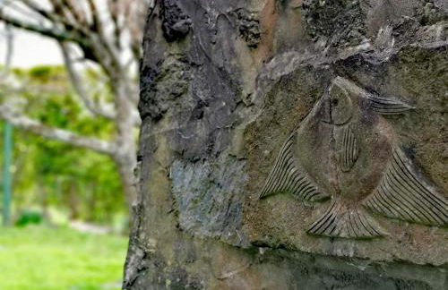 Casa Santa - Photo 43