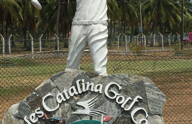 Sri Lankan Villa - Photo 49