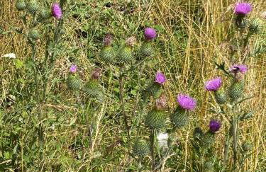 A cjase di Luca - Photo 22