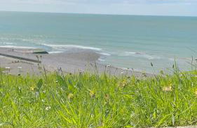 Gîte Les Eaux du Moulin piscine chauffée et jacuzzi - Foto 46