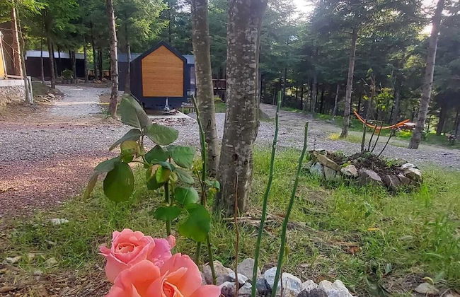 Tumba Sisli Vadi - Foto 63