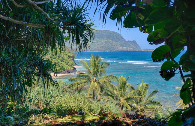 Pali Ke Kua #237 2 Bedroom Condo by RedAwning - Foto 39