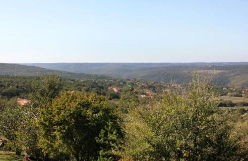 Family friendly house with a swimming pool Presika, Labin - 7363 - Foto 24
