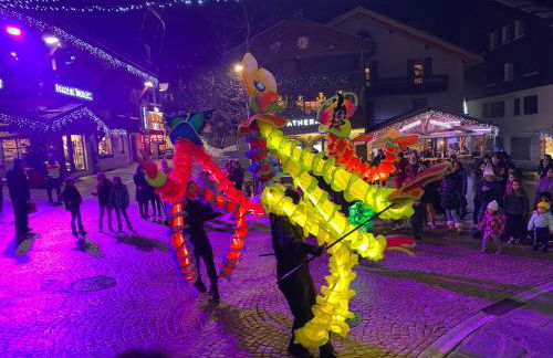 Les bouquetins - Foto 61