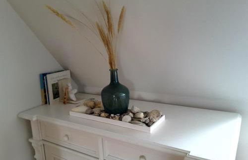 Seepferdchen - Foto 8