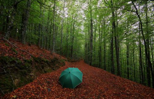 Chalé Zimbro, Serra da Estrela, Penhas da Saúde - Foto 55