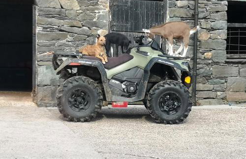 Stybeck Farm - Foto 33