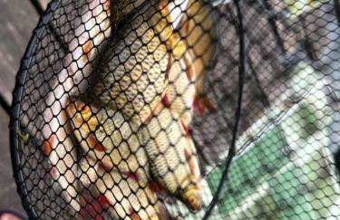 Dom Letniskowy nad Krutynią - Foto 34