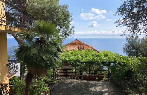 House Levante by Holiday World - Photo 14