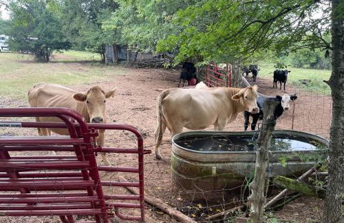 ~ The Cozy Farmhouse ~ | Sleeps 10+ | Farm Views - Foto 65