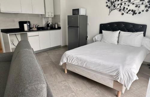 Residence 4T - 33 Avenue Gaston Chauvin - Foto 14