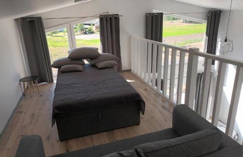 Domki nad jeziorem w Borach Tucholskich - Foto 8