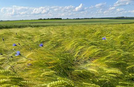 W Kręgu Natury - Foto 35