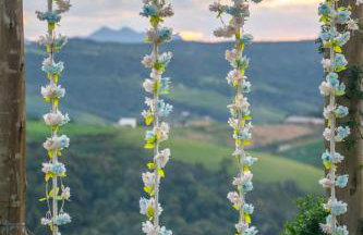 Vale Encantado Alfredo Wagner - Photo 49