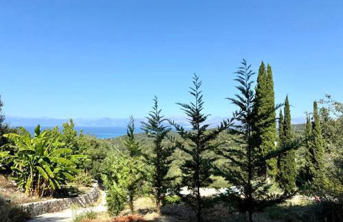 SeaForest Villa, Grand New! 2 km from Beach - Foto 28