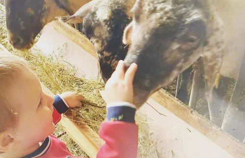 Agriturismo La Fattoria - Photo 15