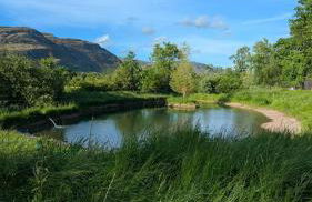 Luxury Shepherds Hut on Powis House Estate - Foto 9