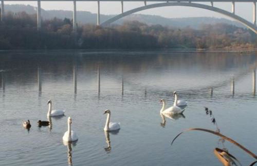 Müller's Ferienwohnungen - Foto 28