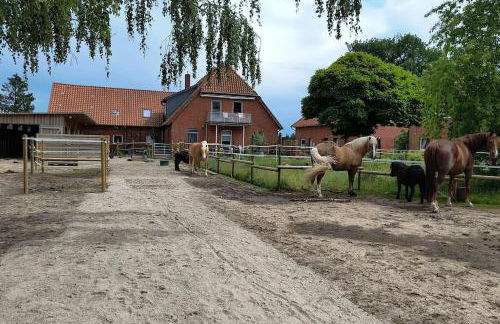 Familienfreundliche große Ferienwohnung mit Pool & Pferden - Spielplatz direkt am Haus - Foto 24