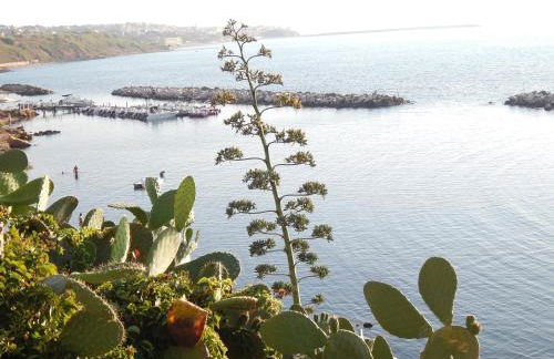 Casa Vacanze Karol - Photo 28