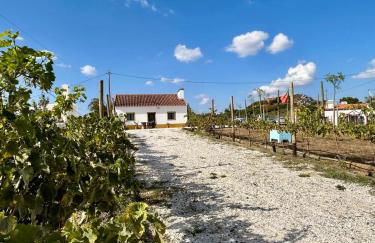 Monte da Rochela - Foto 1