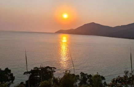 Will Container Experience - Foto 57