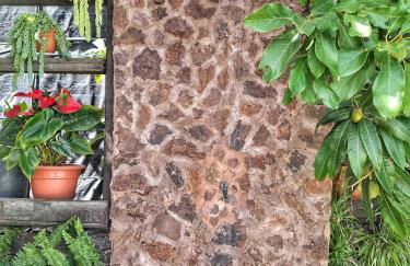 F&C - Tranquilidad en mar y montaña - Foto 38