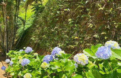 Hotel Fazenda Bonanza - Foto 37