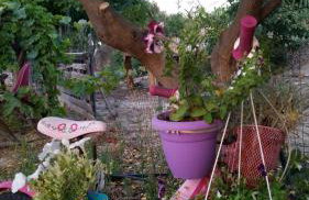 Alexandra Homestay - Foto 67