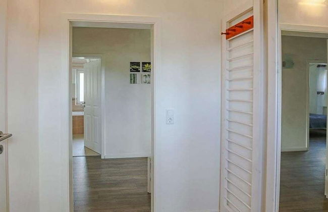 Steinwälzer - Foto 13