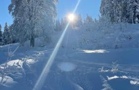 kleineauszeit3, Feldberg, direkt an Skipiste, mit Sauna - Photo 33