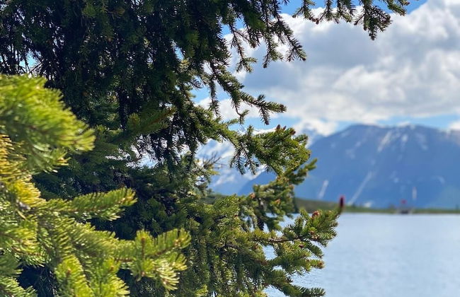 Gunneheim Antares - Foto 17