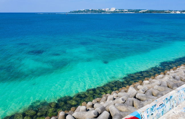 Mr.KINJO in MOTOBU OCEAN TERRACE - Photo 16